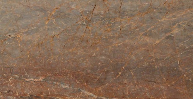 VEINS